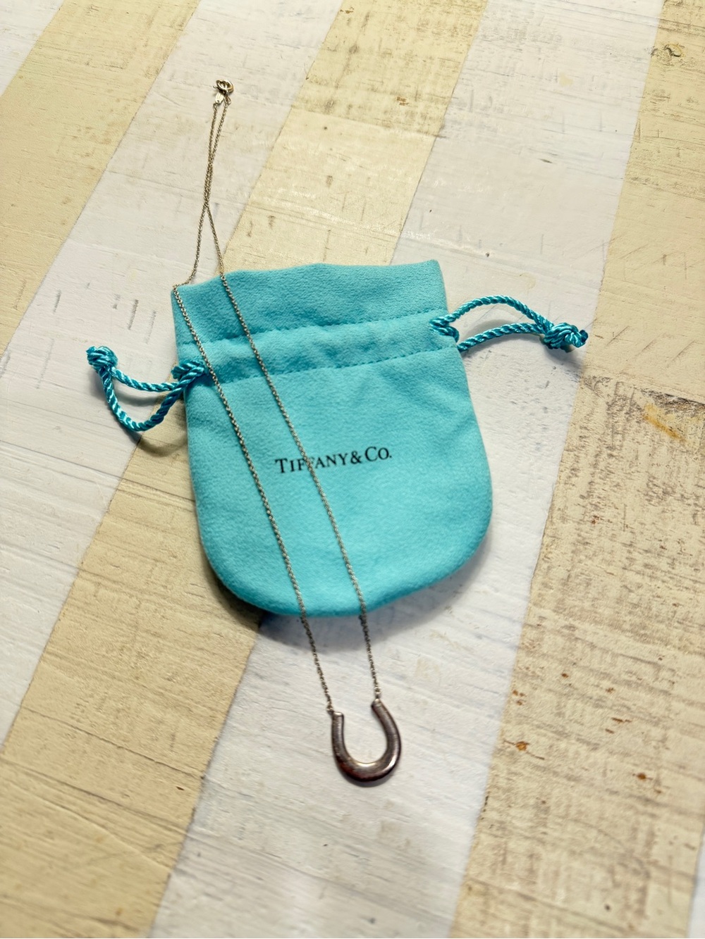 Tiffany & Co. Sterling Silver 1837 Collection Lucky Horseshoe Necklace 18"
